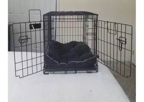 Collapsible two door dog crate